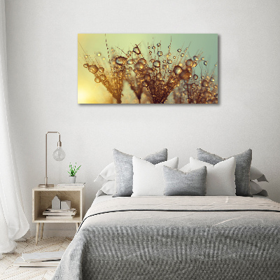 Canvas wall art Dandelion seeds