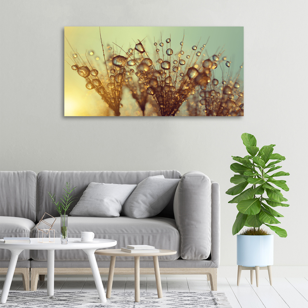 Canvas wall art Dandelion seeds