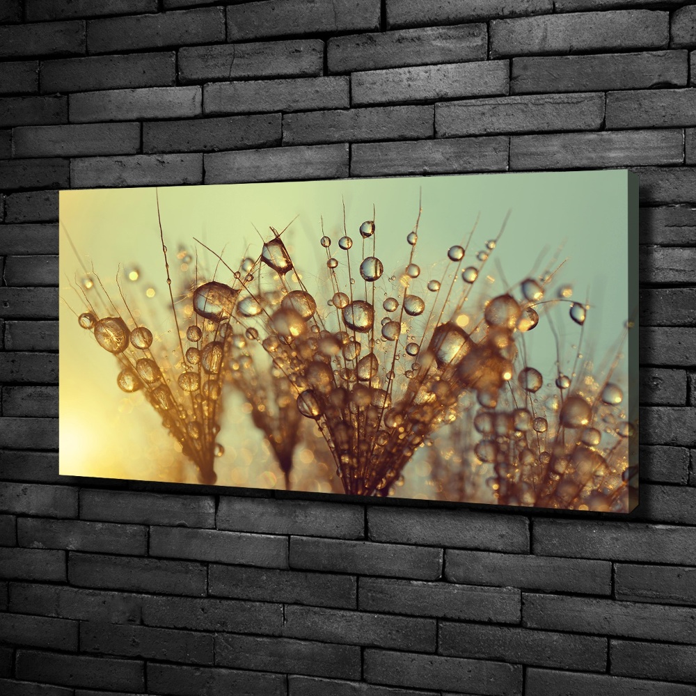 Canvas wall art Dandelion seeds