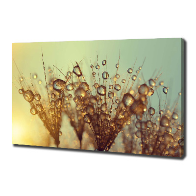 Canvas wall art Dandelion seeds