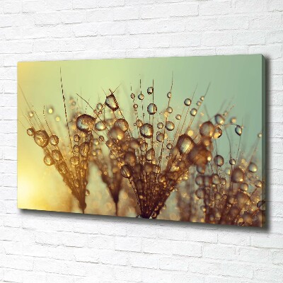 Canvas wall art Dandelion seeds