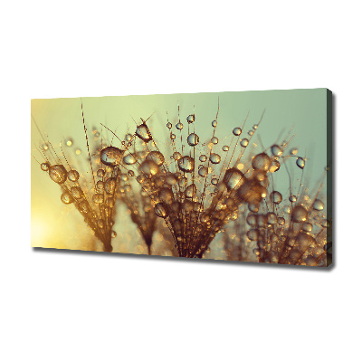 Canvas wall art Dandelion seeds