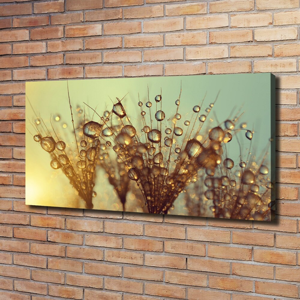 Canvas wall art Dandelion seeds