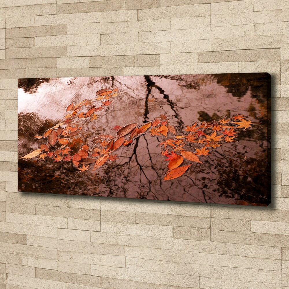 Canvas wall art Leaves on the water