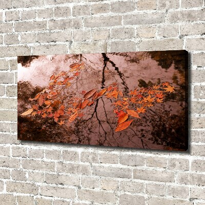 Canvas wall art Leaves on the water