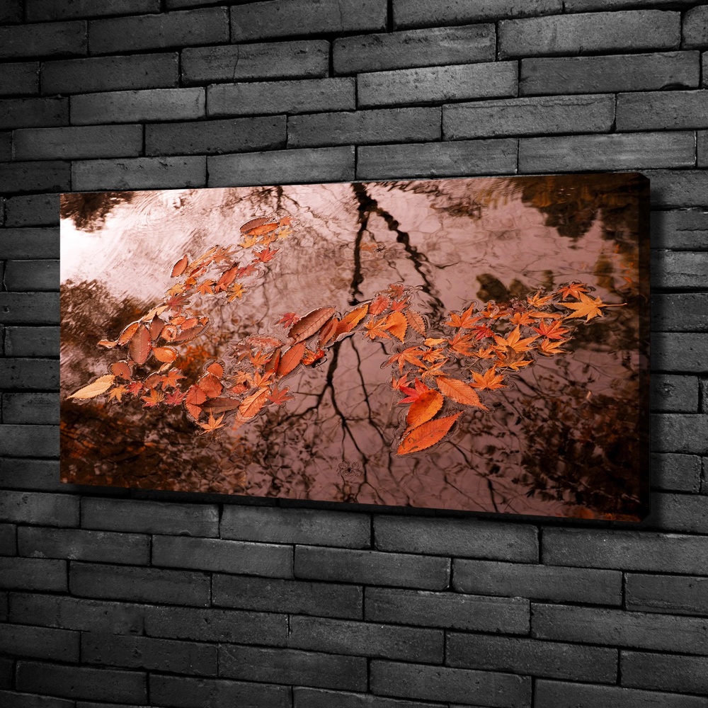 Canvas wall art Leaves on the water