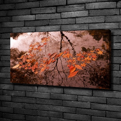 Canvas wall art Leaves on the water