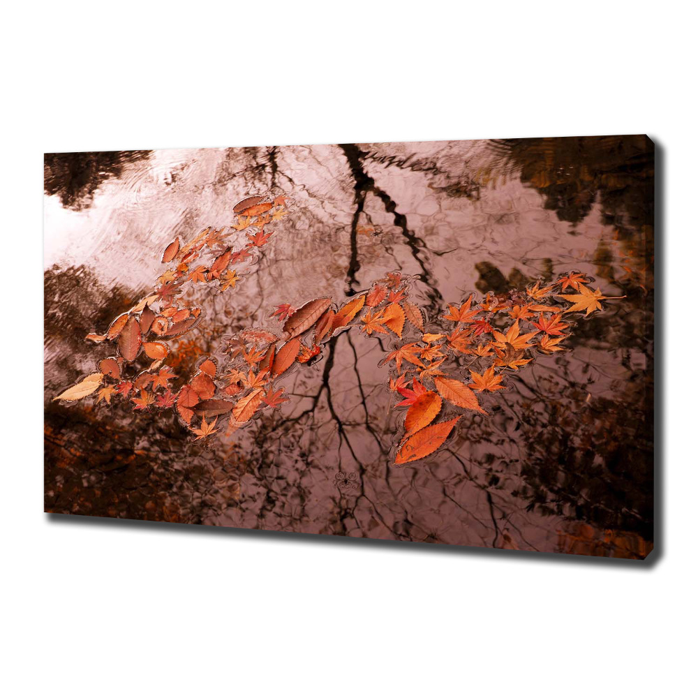 Canvas wall art Leaves on the water