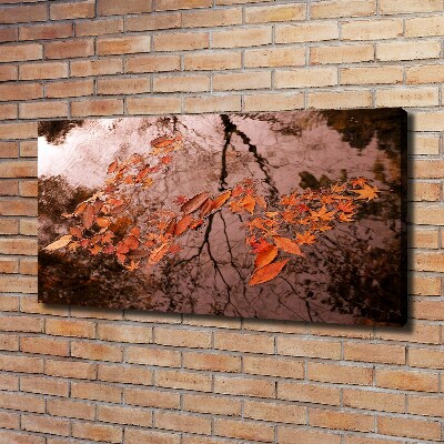 Canvas wall art Leaves on the water