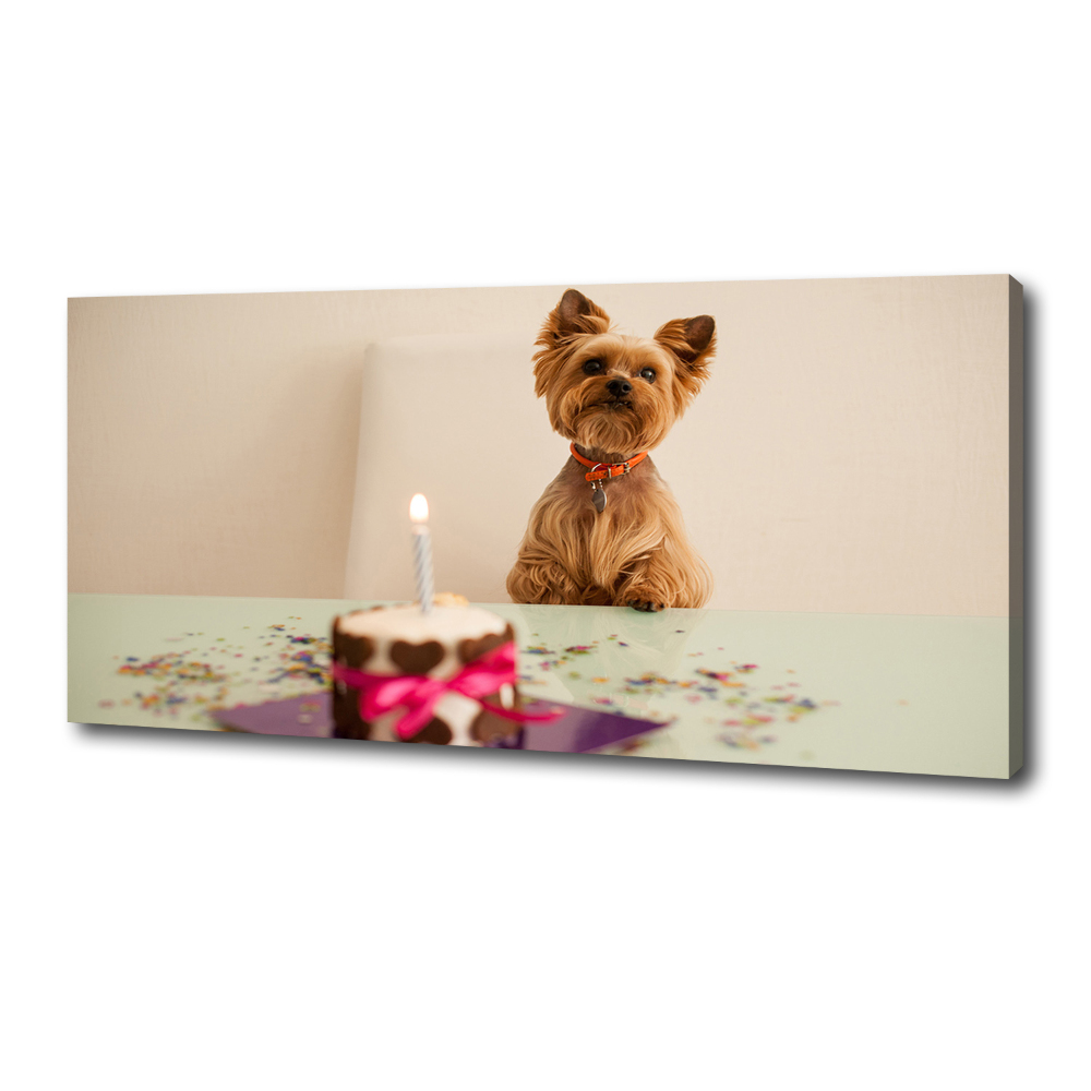 Canvas wall art Dog with a cake