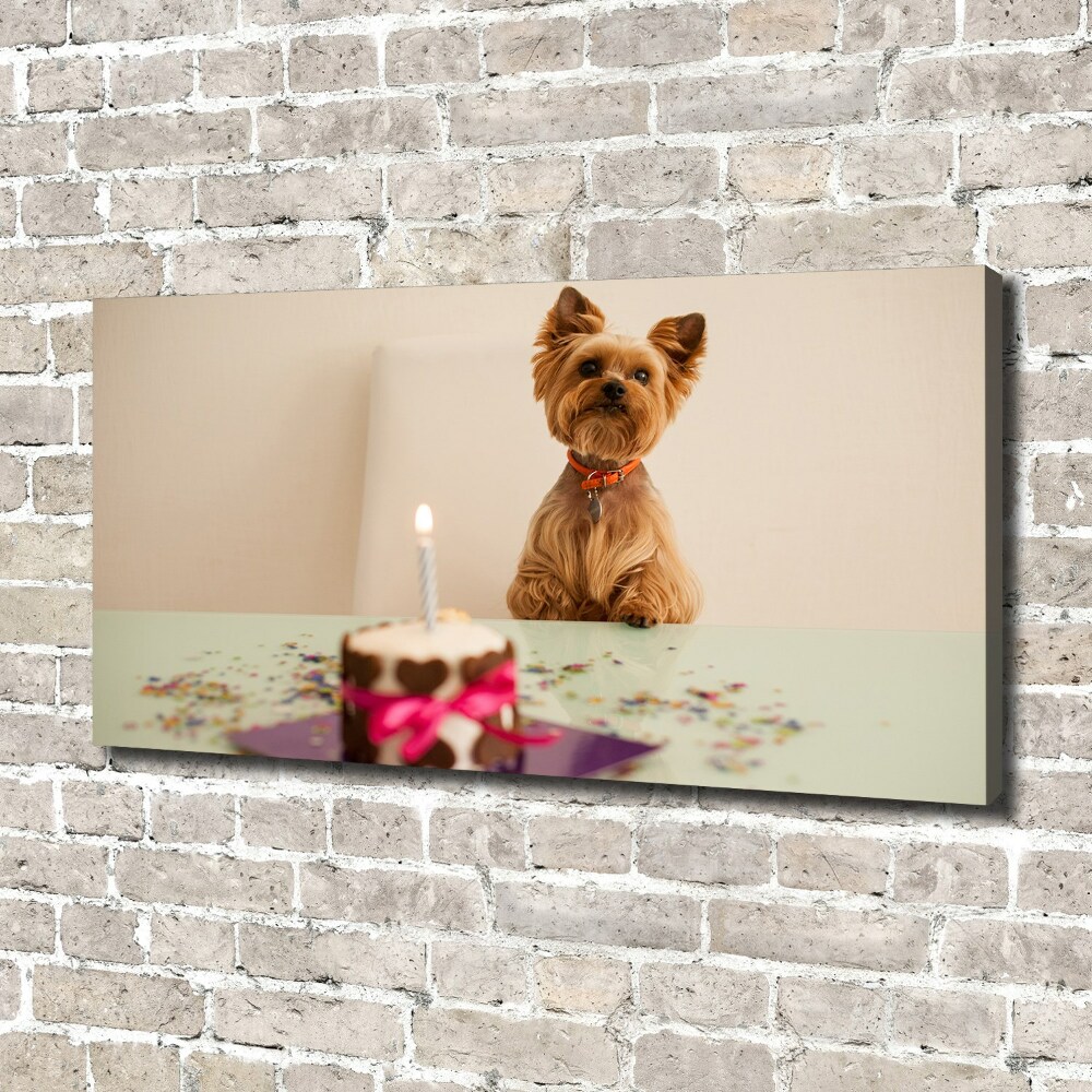 Canvas wall art Dog with a cake