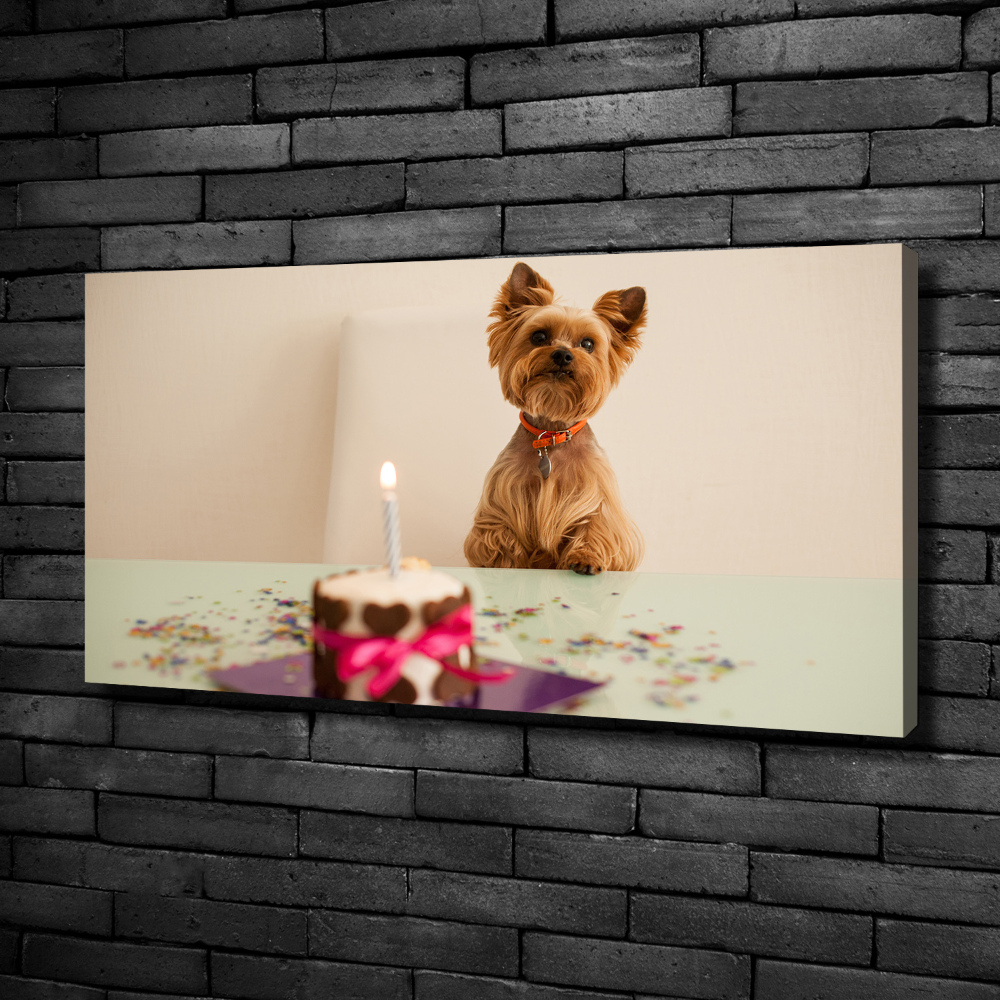 Canvas wall art Dog with a cake