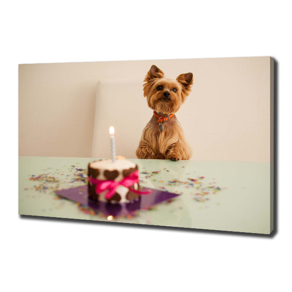 Canvas wall art Dog with a cake