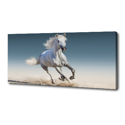 Canvas wall art White horse at a gallop