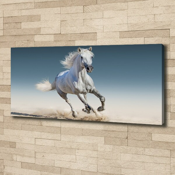 Canvas wall art White horse at a gallop