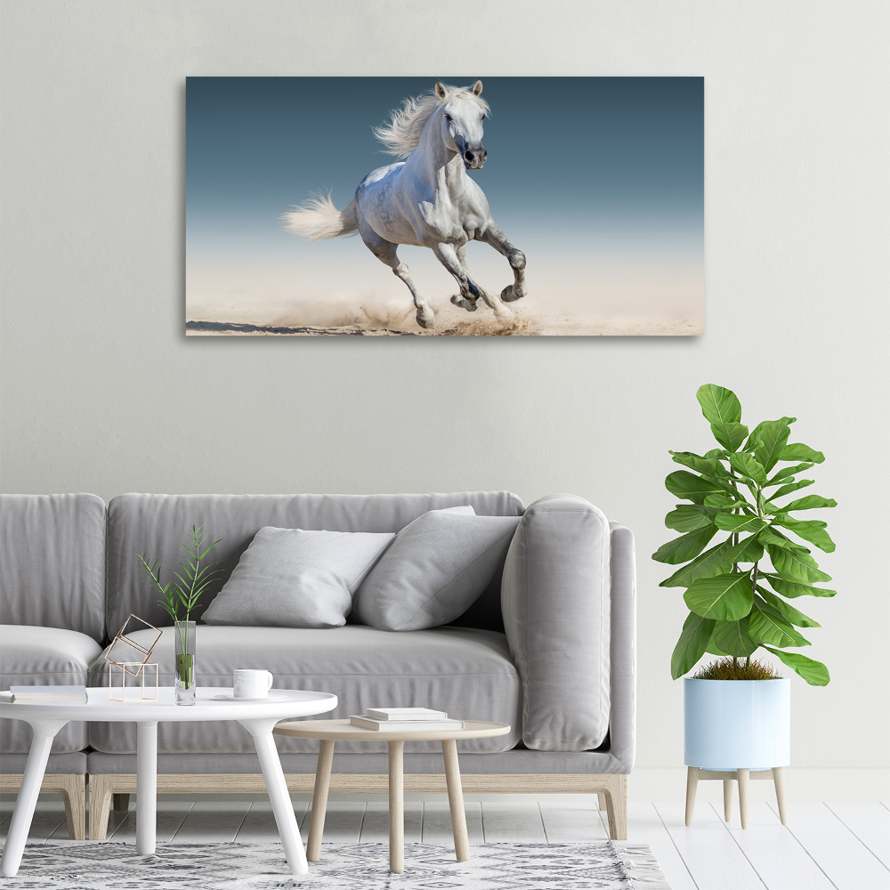 Canvas wall art White horse at a gallop