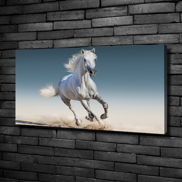 Canvas wall art White horse at a gallop