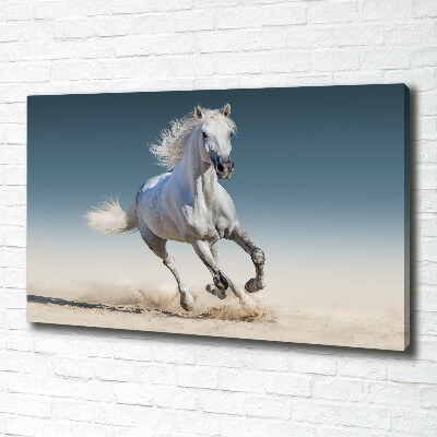 Canvas wall art White horse at a gallop