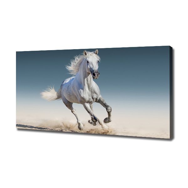 Canvas wall art White horse at a gallop