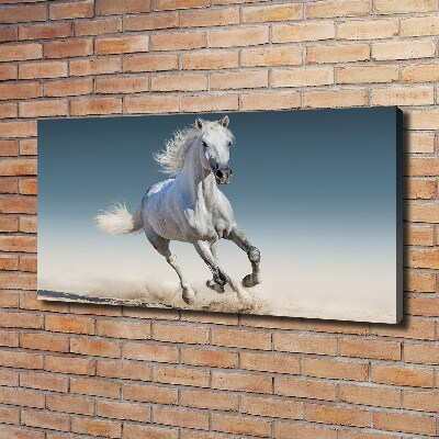 Canvas wall art White horse at a gallop