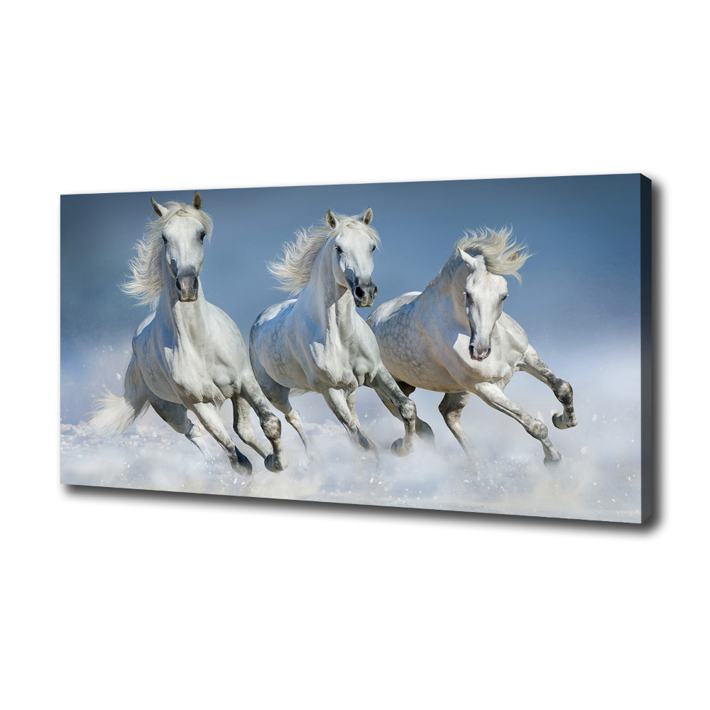 Canvas wall art Horses at gallop