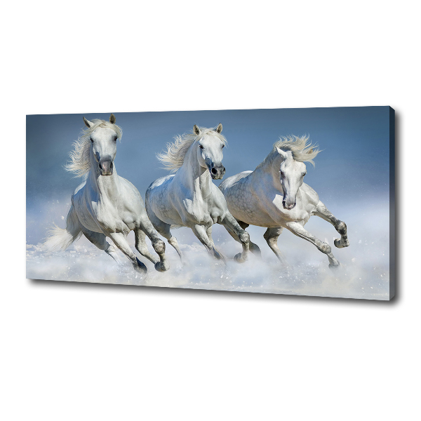 Canvas wall art Horses at gallop