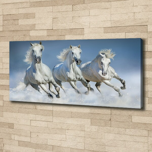 Canvas wall art Horses at gallop