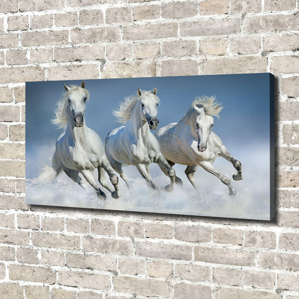 Canvas wall art Horses at gallop