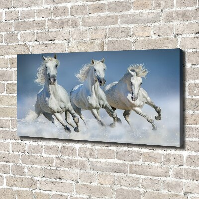 Canvas wall art Horses at gallop