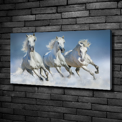 Canvas wall art Horses at gallop