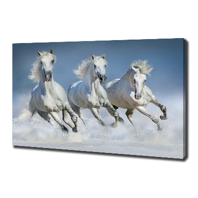 Canvas wall art Horses at gallop