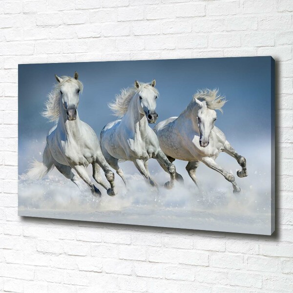 Canvas wall art Horses at gallop