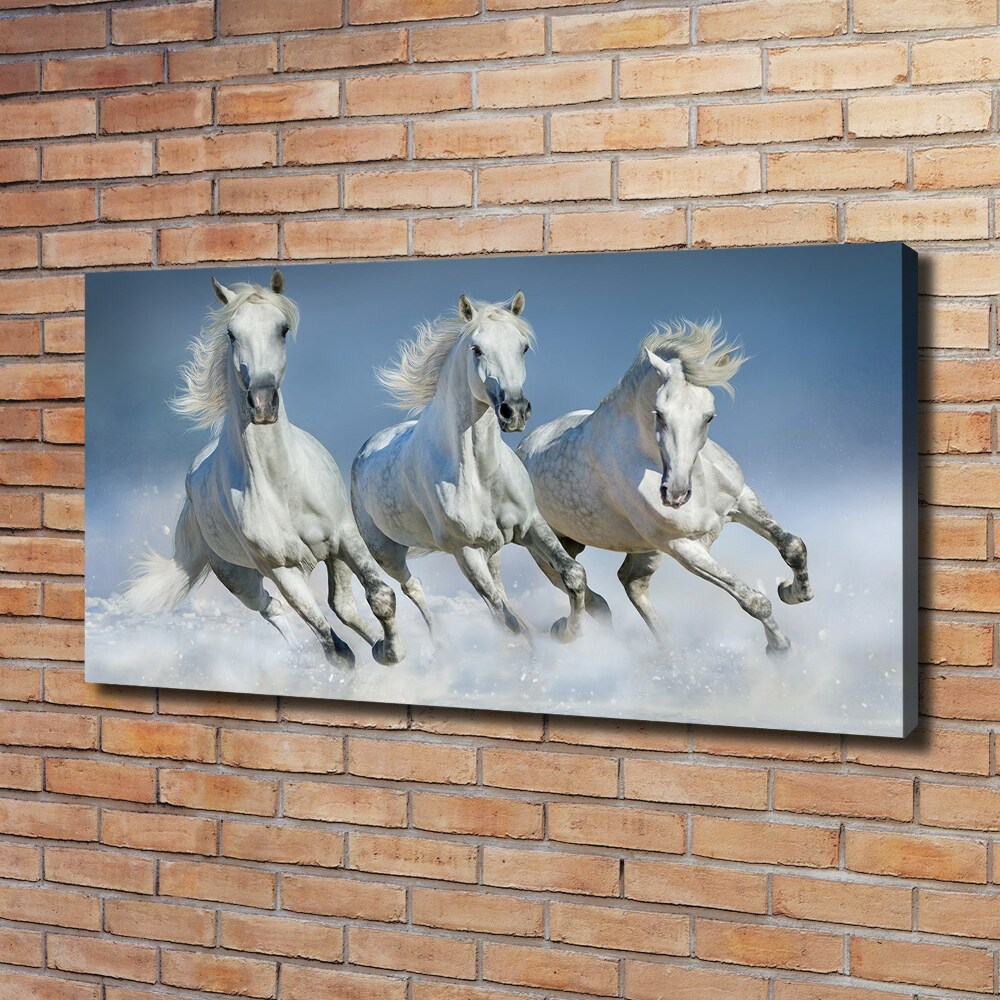 Canvas wall art Horses at gallop