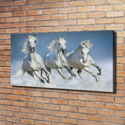 Canvas wall art Horses at gallop