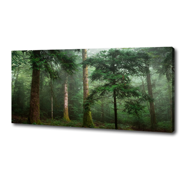 Canvas wall art Fog in the forest