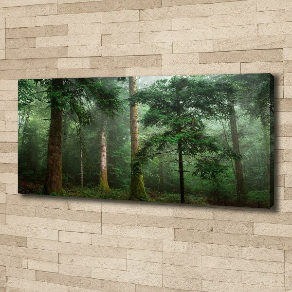 Canvas wall art Fog in the forest