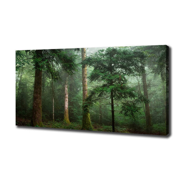 Canvas wall art Fog in the forest