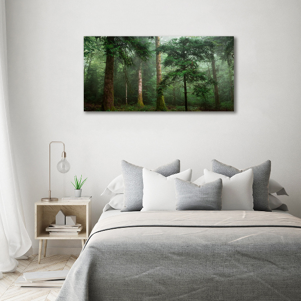 Canvas wall art Fog in the forest