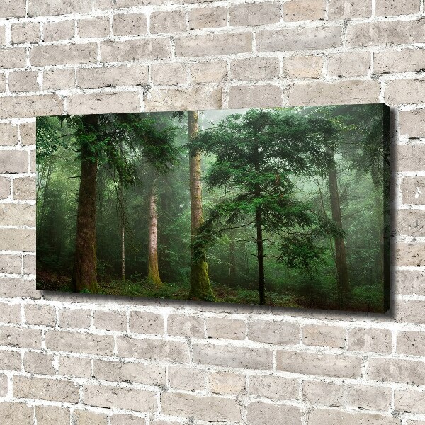 Canvas wall art Fog in the forest