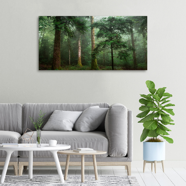 Canvas wall art Fog in the forest