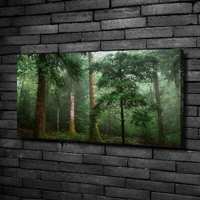 Canvas wall art Fog in the forest