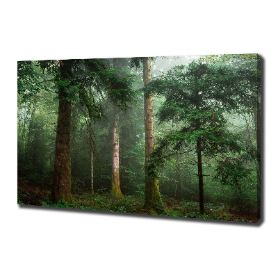 Canvas wall art Fog in the forest