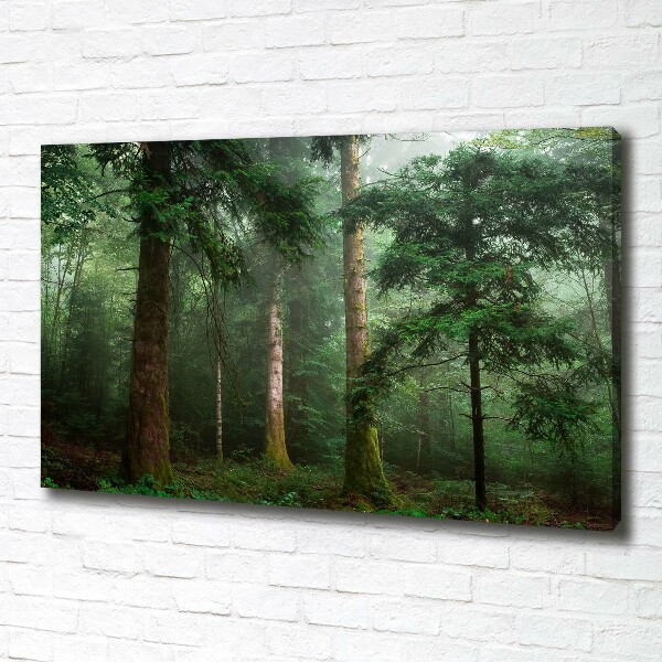 Canvas wall art Fog in the forest