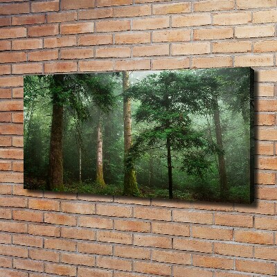 Canvas wall art Fog in the forest