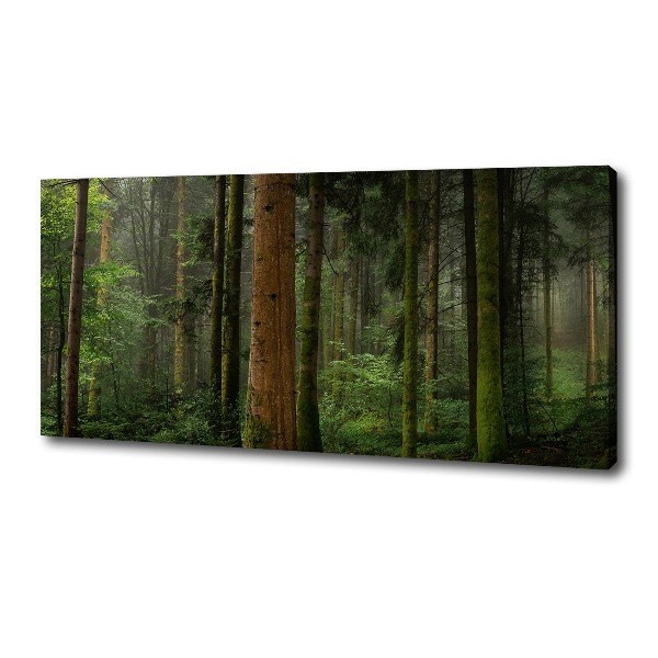 Canvas wall art Fog in the forest