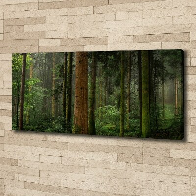 Canvas wall art Fog in the forest