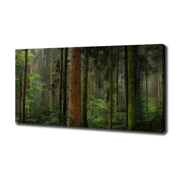 Canvas wall art Fog in the forest