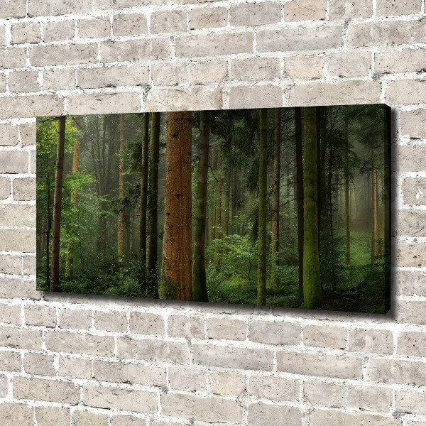 Canvas wall art Fog in the forest