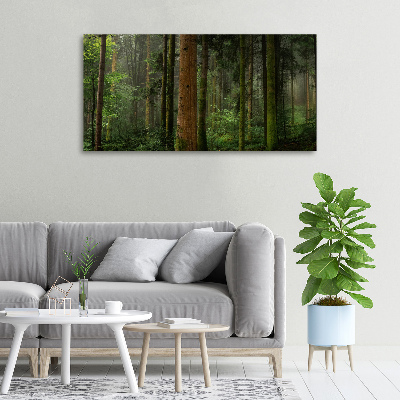 Canvas wall art Fog in the forest