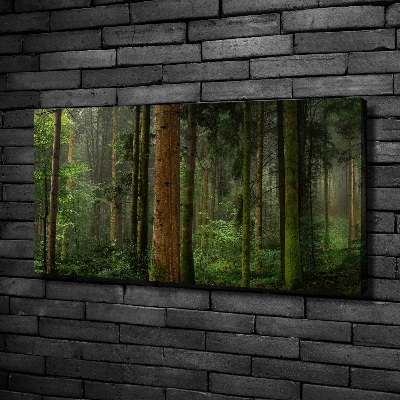 Canvas wall art Fog in the forest